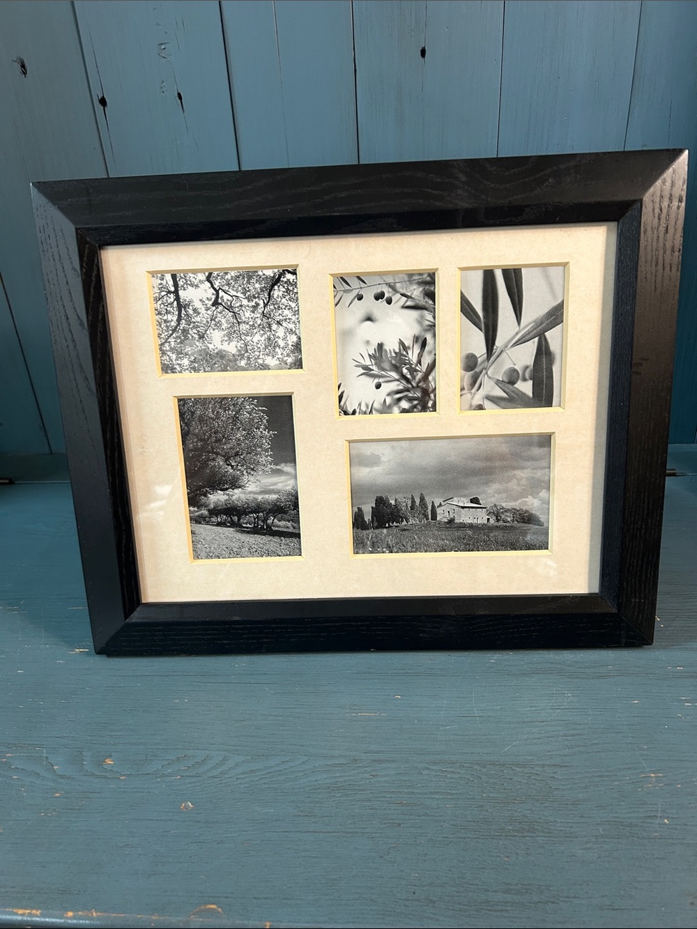 Amazon Black Multi-Opening Picture Frame with Cream Mat and Gold Accents